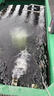 Yasunaga Y安永魚(yú)池氧氣泵增氧泵機打氧機打氧泵充氧泵增氧器充氧機氧氣機 AP40（29W適合3噸1.2米水深）單泵 曬單實(shí)拍圖
