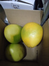梅州紅心蜜柚白肉柚子新鮮水果冰糖金碌柚非三紅柚沙田柚產(chǎn)地直發(fā) 紅心蜜柚 【嘗鮮】1粒 單果1.4斤+ 曬單實(shí)拍圖