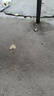 棉滿(mǎn)滿(mǎn)兒童襪中筒襪新疆棉抗菌男童中大童學(xué)生寶寶襪男孩秋冬季5雙裝tt 曬單實(shí)拍圖