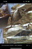 諸老大 粽子中華老字號 醬香黑豬腿肉粽125g*4只端午節嘉興產(chǎn)肉粽早餐 曬單實(shí)拍圖