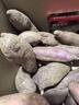 京覓湖北沙地紫薯 凈重3斤(贈送1.5斤實(shí)得4.5斤) 單果100g+ 源頭直發(fā) 曬單實(shí)拍圖