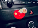 駱駝（CAMEL）駱駝天鵝DF蓄電池12V汽車(chē)電瓶45/55/60/70AH/L2400/55D23L/80D26 60ah奇瑞風(fēng)云2旗云3艾瑞澤7/5 曬單實(shí)拍圖