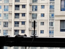 畢亞茲 數字電視天線(xiàn)接收器 室內外防雨水DTMB地面波信號搜臺頻道 家用免網(wǎng)絡(luò )插有線(xiàn)電視接口看衛視 10米 曬單實(shí)拍圖