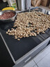 花生種子原種農科院新品種高產花生種子千斤王全國適種花育60中果 出油王花生原種2500克 曬單實拍圖