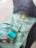 拉夫威爾弗格蘭狗狗胸背帶牽引繩小型犬ruffwear柴犬寵物狗背心胸背帶 鼠尾草綠/霧森綠 M 曬單實(shí)拍圖