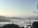2025年春季新款寶寶學(xué)步鞋韓版男寶寶軟底休閑鞋潮中小童時(shí)尚板鞋 麥力熊MLX-D511黑色 23 內長(cháng)15厘米 曬單實(shí)拍圖