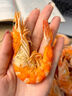 海仙津九節蝦干即食大蝦干烤蝦干對蝦干特大斑節蝦干大烤蝦福建干貨蝦 【大號款】烤蝦干500g 120-130只 曬單實(shí)拍圖