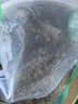 其他品牌 鮮活基圍蝦200g(12-20只) 曬單實(shí)拍圖