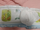 凱兒得樂(lè )比得兔拉拉褲2XL64片(超15kg))嬰兒學(xué)步褲 大碼成長(cháng)褲尿不濕 曬單實(shí)拍圖
