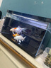 當貝智能生態(tài)魚(yú)缸1SUltra 一體缸自循環(huán)雙過(guò)濾AI托養懶人家用桌面魚(yú)缸 曬單實(shí)拍圖