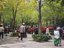 浪莎兒童保暖連褲襪女童秋冬季加絨加厚打底褲中大童學(xué)生舞蹈襪 白色 曬單實(shí)拍圖