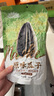 MAOKE毛嗑原味瓜子葵花籽大顆粒宿舍網(wǎng)紅休閑零食小吃恰恰500g大包裝 曬單實(shí)拍圖