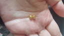 喜上眉梢足金999轉運珠3D硬金拋光面珠磨砂路路通DIY配飾散珠送禮女 4mm光珠【約1g】多顆重版 曬單實(shí)拍圖