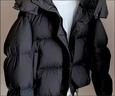 皮爾卡丹（pierre cardin）2025新款高端羽絨棉服女短款冬季新款韓版寬松時(shí)尚保暖小個(gè)子遮肉 黑色 【寬松版型不要拍大】 M 曬單實(shí)拍圖
