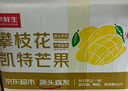 京鮮生 攀枝花凱特芒果 凈重8.5斤 帶箱9斤 單果500g+ 生鮮水果源頭直發(fā) 曬單實拍圖