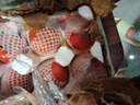 京鮮生 山東鐵皮草莓西紅柿 凈重4.5斤 單果60-150g水果番茄源頭直發(fā) 曬單實(shí)拍圖