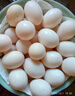 均鮮新鮮土鴿子蛋雜糧喂養(yǎng)農(nóng)家特產(chǎn)白鴿蛋信鴿蛋孕婦寶寶年貨節(jié)禮盒裝 30枚610g左右精選鮮鴿蛋 曬單實(shí)拍圖