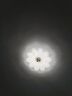 萊琪吸頂燈創(chuàng  )意奶油風(fēng)花朵臥室客廳燈2025新款全光譜三室兩廳燈具套餐 YH826亞克力奶咖+52CM+56W 三色變光 曬單實(shí)拍圖