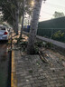 邁拓維矩（MT-viki）HDMI延長(cháng)器50米 hdmi轉RJ45單網(wǎng)線(xiàn)網(wǎng)絡(luò )傳輸信號放大器 MT-ED04 曬單實(shí)拍圖