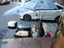 電動(dòng)車(chē)遮陽(yáng)雨傘快拆可折疊電瓶車(chē)雨棚蓬防曬擋雨踏板摩托車(chē)防雨傘 A支架【灰色貓咪】加長(cháng)-黑膠防曬 曬單實(shí)拍圖