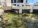 全福鯉 戶(hù)外錦鯉魚(yú)池過(guò)濾器大型水循環(huán)凈化系統304不銹鋼錦鯉池過(guò)濾設備 QL-50套餐適合0-20噸水包含水泵水管 曬單實(shí)拍圖