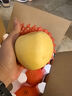 京鮮生山東煙臺黃金維納斯蘋(píng)果 凈重3斤 單果75-80mm 源頭直發(fā)包郵 曬單實(shí)拍圖