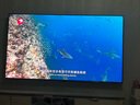 海信電視小墨E5Q Pro85英寸 1248分區U+MiniLED 信芯芯片 抗反光防眩光墨晶屏 300Hz國家補貼85E5Q-PRO 曬單實(shí)拍圖
