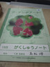 趣多多香脆曲奇餅干經(jīng)典巧克力原味共510g含24包獨立裝零食 早餐下午茶 曬單實(shí)拍圖