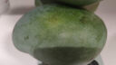 京鮮生 攀枝花凱特芒果 凈重4.5斤 帶箱5斤 單果400g+ 生鮮水果源頭直發(fā) 曬單實(shí)拍圖