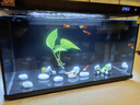森森金麟超白玻璃魚(yú)缸一體缸自循環(huán)客廳小型家用水族箱LE-480B 曬單實(shí)拍圖