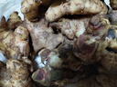 產(chǎn)地直發(fā)云南小黃姜新鮮生姜黃姜調味料新鮮蔬菜生鮮 3斤 裝 曬單實(shí)拍圖