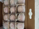 洛川蘋(píng)果陜西延安紅富士時(shí)令蘋(píng)果水果禮盒禮品蘋(píng)果生鮮新鮮脆甜整箱好吃 12枚75mm優(yōu)選果 禮盒裝凈4.8斤 曬單實(shí)拍圖
