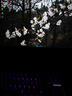 HKC 23.8英寸2K 180Hz高刷FastIPS硬件低藍光HDR400廣色域1ms游戲電競PS5電腦顯示器獵鷹 G24H2經典版 曬單實拍圖