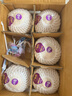 佳沃泰國進口椰青香水椰子 6個裝 中果800g+ 新鮮水果 源頭直發(fā) 曬單實拍圖
