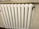 金旗艦暖氣片家用鋼制水暖壁掛式全屋暖氣定制集中供暖自采暖立式散熱器 防腐金剛60F-高600mm 6分口 曬單實(shí)拍圖