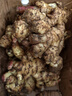 產(chǎn)地直發(fā)云南小黃姜新鮮生姜黃姜調味料新鮮蔬菜生鮮 3斤 裝 曬單實(shí)拍圖