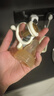 albo咬咬袋嬰兒吃水果神器咬咬樂(lè )寶寶安撫牙膠可推進(jìn)式果蔬輔食器 曬單實(shí)拍圖