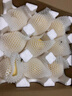 京覓河北趙縣脆甜白皇冠梨凈重4.5斤單果230g+新鮮水果源頭直發(fā) 曬單實(shí)拍圖