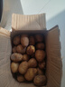 牛愛(ài)鮮 黃心土豆新鮮洋芋馬鈴薯黃皮應季蔬菜整箱優(yōu)質(zhì)土豆現摘美味蔬菜 10斤精選裝【現挖現發(fā)】?jì)糁?斤 農家現挖蔬菜 曬單實(shí)拍圖
