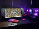 技嘉全家桶AMD銳龍 9600X/9700X/7800X3D/RTX5060TI顯卡組裝電腦電競游戲直播臺式機渲染主機DIY組裝機 9600X+32G+1T+RTX5060 高幀打瓦 曬單實(shí)拍圖