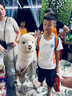 愛肯拿（ACANA）狗糧 鴨肉梨成犬幼犬 低敏去淚痕全價通用原裝進口糧2kg效期26/11 曬單實拍圖