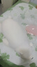 Guiny發(fā)熱抱枕暖寶寶充電熱水袋暖手寶暖水袋女友女士生日禮物女生實用 曬單實拍圖