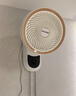 揚子揚子電風(fēng)扇制冷掛墻壁扇渦輪工業(yè)家用大風(fēng)力宿舍超靜音壁掛式風(fēng)扇商用臥室三級能效 18英寸塑葉機械款+銅芯電機 曬單實(shí)拍圖