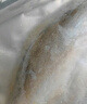 黃小漁南美黃魚(yú)鲞450g/2條 三去大黃魚(yú)黃花魚(yú)生鮮 海鮮水產(chǎn)燒烤魚(yú)類(lèi)中秋 曬單實(shí)拍圖