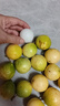 果益壽廣西欽蜜9號(hào)黃金百香果 新鮮水果白香果醬原漿整箱 超值30枚裝【單果30g以下】 曬單實(shí)拍圖