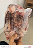 羋羊羊  寧夏灘羊肉 分割半羊凈重10斤禮盒 羊肉生鮮 火鍋 清真源頭直發(fā) 曬單實(shí)拍圖