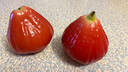 京鮮生 紅寶石蓮霧 凈重2斤裝9-12個(gè) 單果75g+中秋水果源頭直發(fā)包郵 曬單實(shí)拍圖