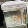 森森（SUNSUN）超白魚(yú)缸一體缸自循環(huán)客廳桌面小型家用水族箱HEJ-380 曬單實(shí)拍圖