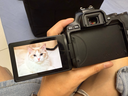 佳能（Canon）EOS 200D2 II 二代 單反相機(jī) 4K Vlog視頻 家用便攜高清美顏照相機(jī) 18-55mm標(biāo)準(zhǔn)變焦 旅行暢玩套裝 曬單實(shí)拍圖