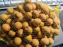 桂圓干新貨大果龍眼帶殼肉厚即食煮湯泡茶養(yǎng)生補(bǔ)氣血女生藥食同源 500g*1袋 曬單實(shí)拍圖